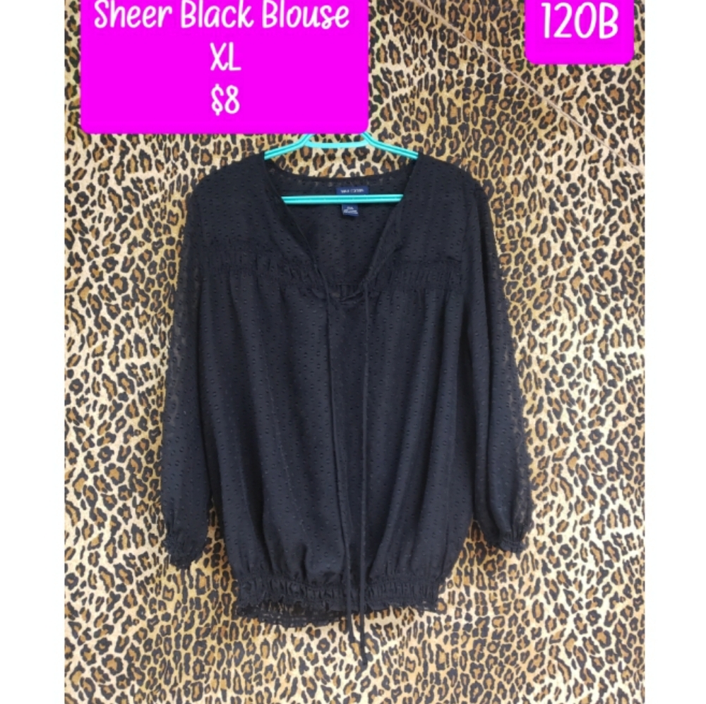 Sheer Blouse